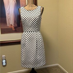 WHBM Polka Dot Fit and flare Dress